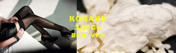 прущие грибы Нефтегорск