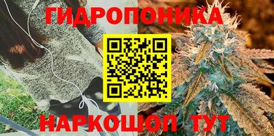 винт Балахна