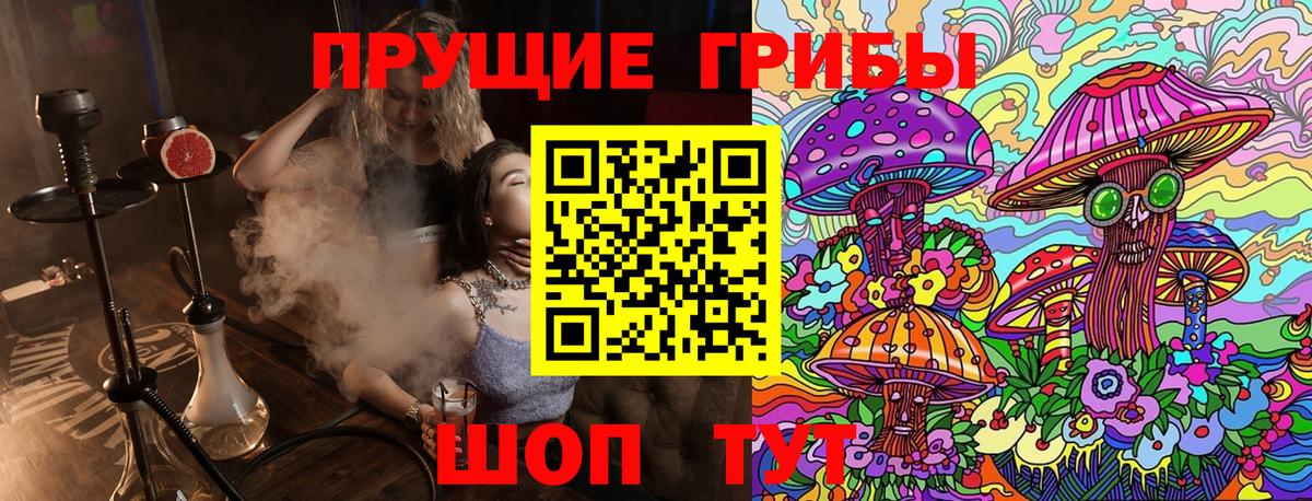 Симферополь  Галлюциногенные грибы Psilocybe  Вход с VPN 