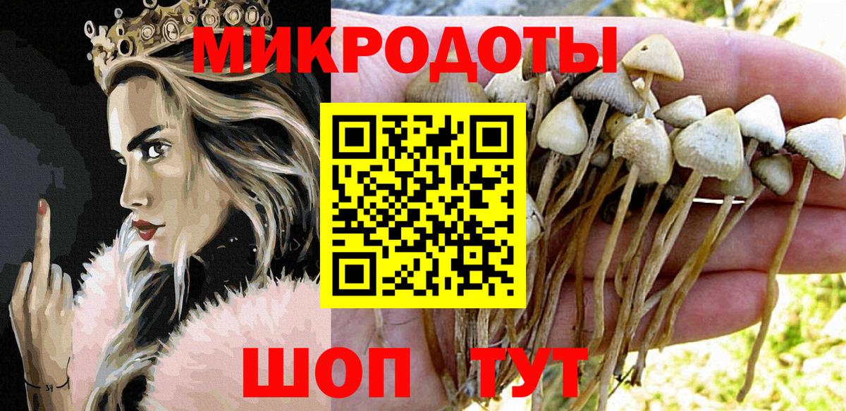 Галлюциногенные грибы Magic Shrooms Симферополь