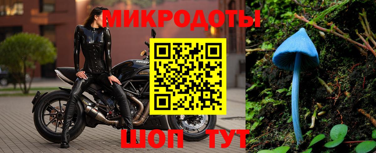 Псилоцибиновые грибы мицелий Симферополь