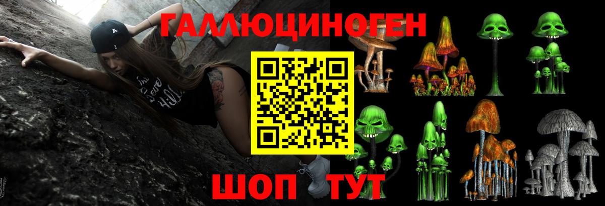 где можно купить   Симферополь  Галлюциногенные грибы Psilocybe 